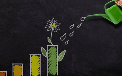 A chalkboard diagram showcases a plant's life cycle with intervals of growth marked by watering sessions from an 'Opportunity' can. Alongside, text annotations delve into the parallels between nurturing plants and cultivating opportunities. One section is prominently highlighted, discussing the pivotal role of grant funding in ensuring that these opportunities are not just temporary spurts but are nurtured into sustainable ventures with long-term benefits.